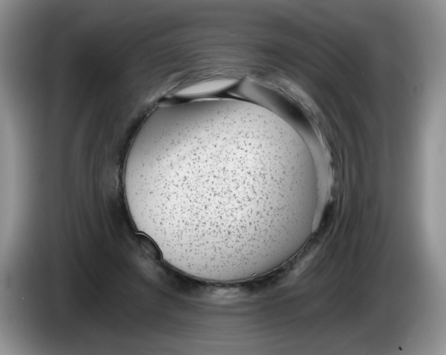 X0000084040401200703092036