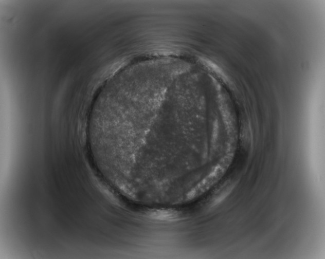 X0000084040402200703092036