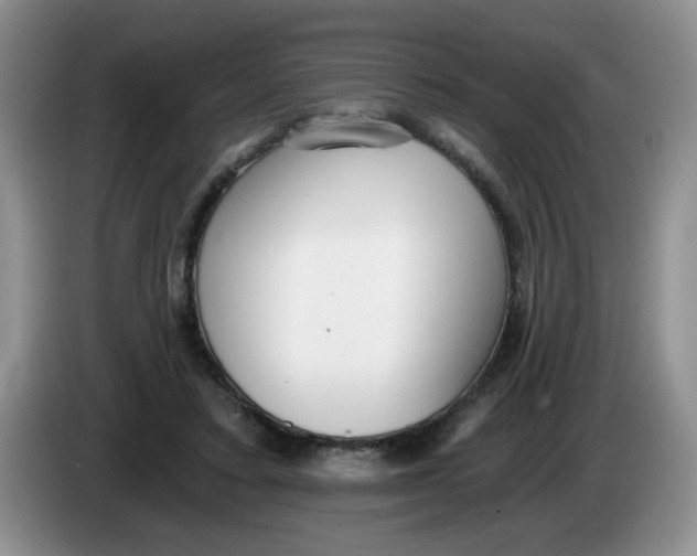 X0000084040403200703092036