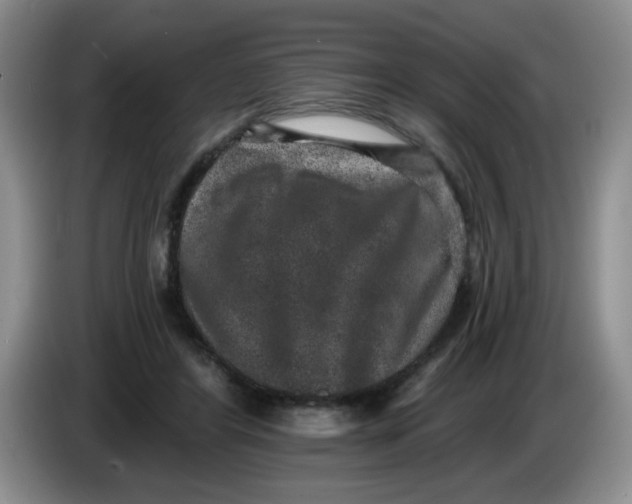 X0000084040404200703092036