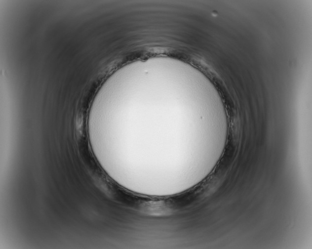 X0000084040406200703092036