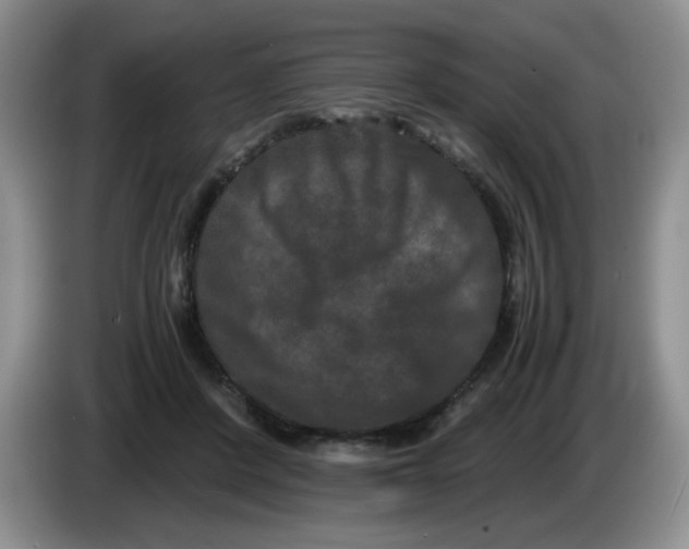 X0000084040408200703092036