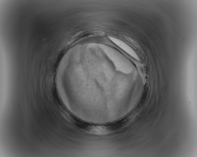 X0000084040409200703092035