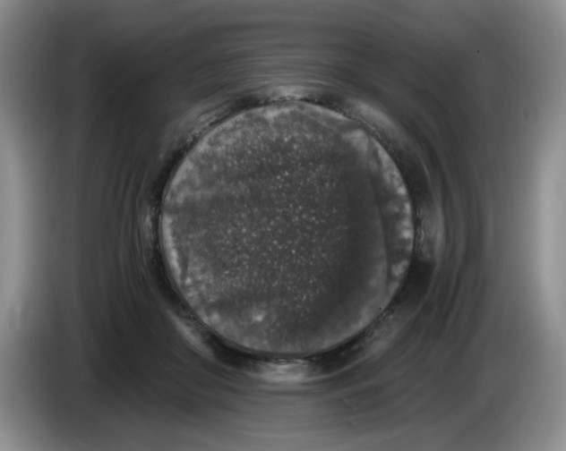 X0000084040410200703092035