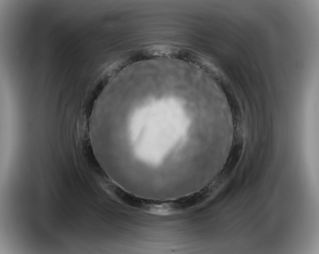 X0000084040411200703092035