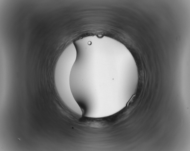 X0000084040412200703092035