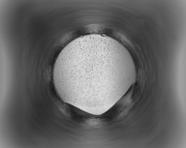 X0000084040413200703092035