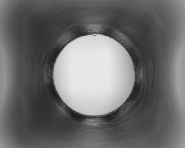 X0000084040414200703092035