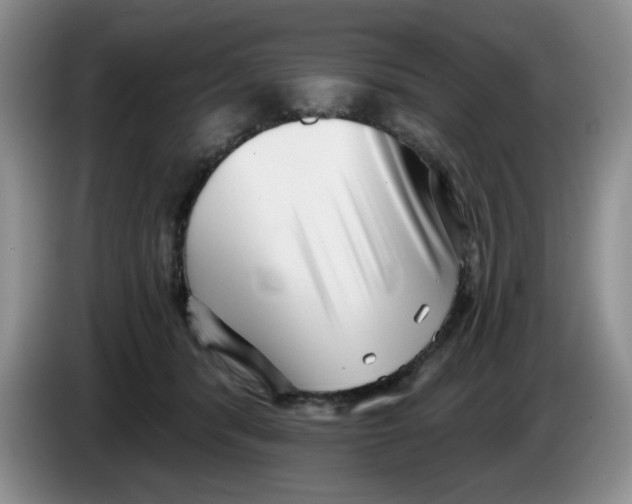 X0000084040416200703092035