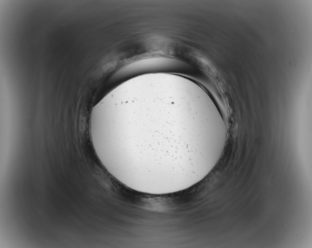 X0000084040417200703092035