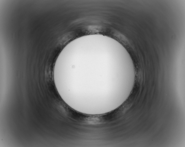 X0000084040418200703092035