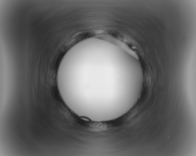 X0000084040421200703092035