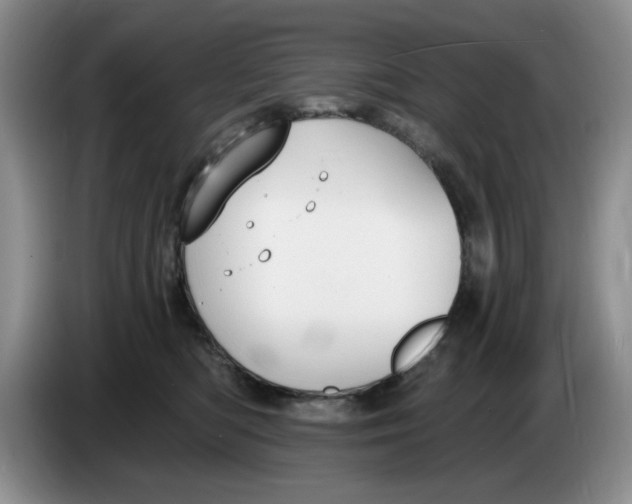 X0000084040422200703092035