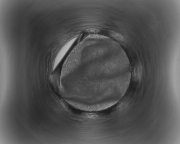 X0000084040424200703092035