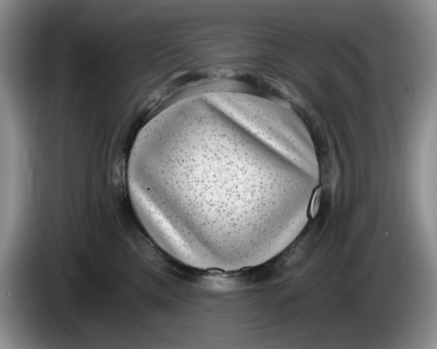 X0000084040425200703092035