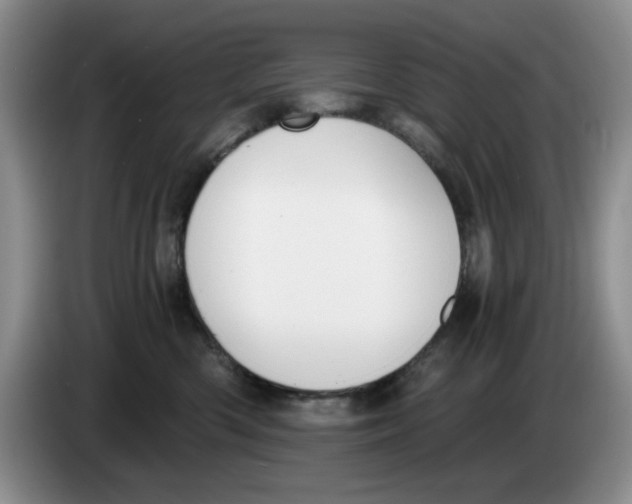 X0000084040426200703092035