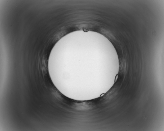 X0000084040430200703092035