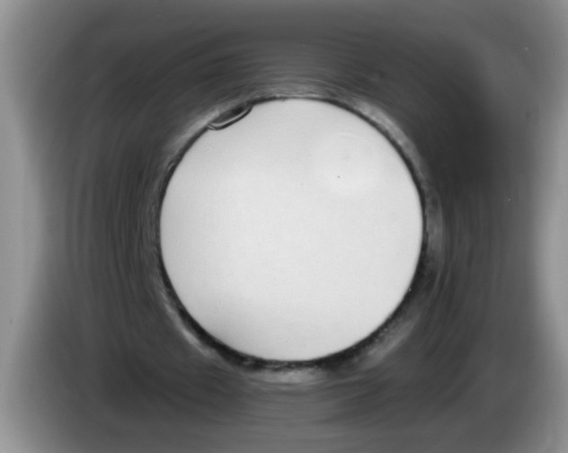 X0000084040433200703092035