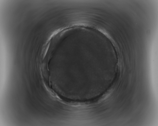 X0000084040434200703092035