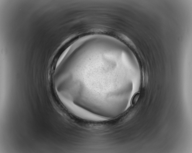 X0000084040435200703092035