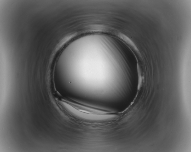 X0000084040436200703092035