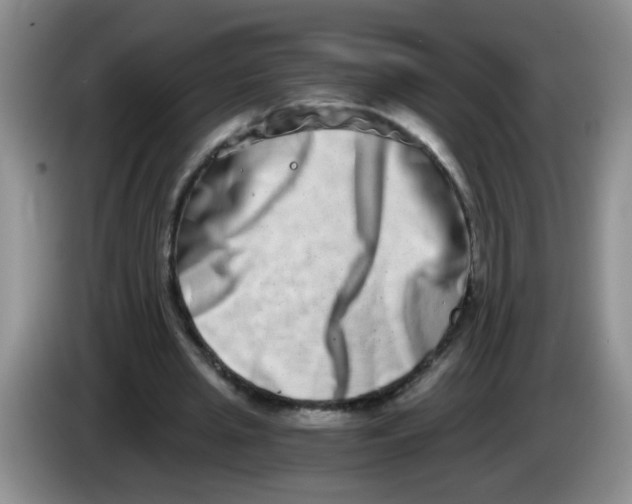 X0000084040437200703092035