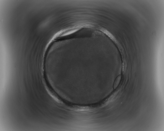 X0000084040438200703092035