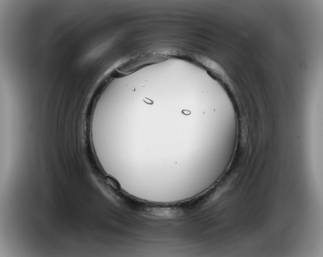 X0000084040439200703092035