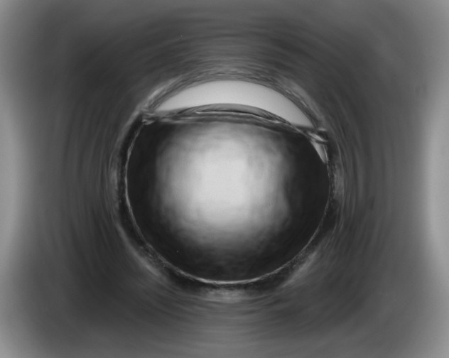 X0000084040444200703092035