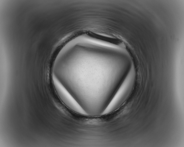 X0000084040446200703092035