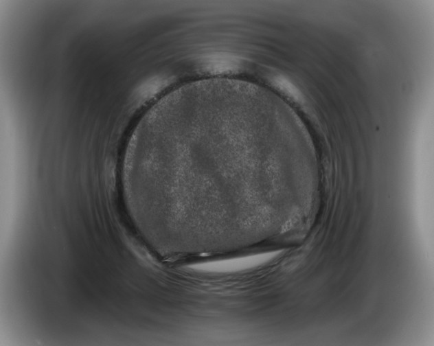 X0000084040447200703092035