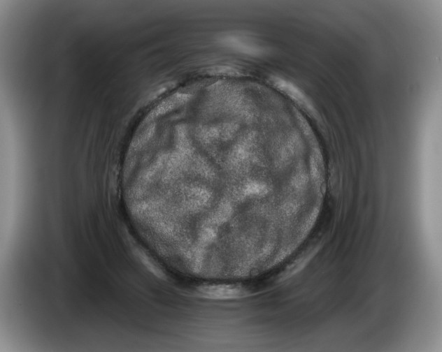 X0000084040449200703092035