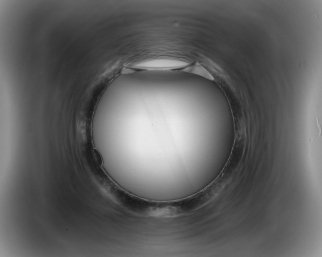 X0000084040452200703092035