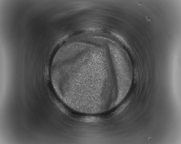 X0000084040453200703092035