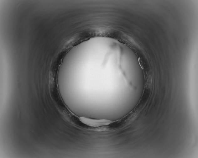 X0000084040456200703092035