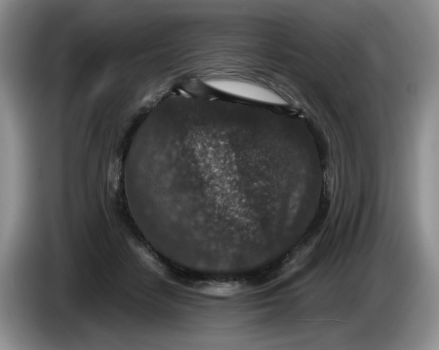 X0000084040458200703092035