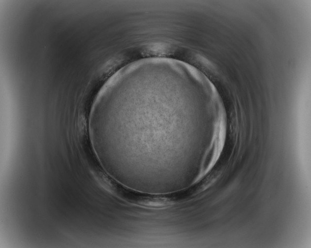 X0000084040459200703092035