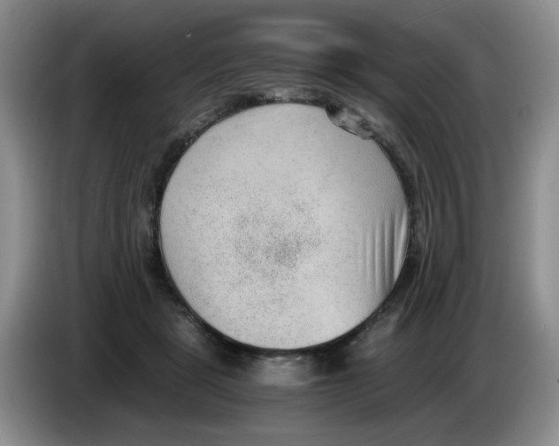 X0000084040461200703092035