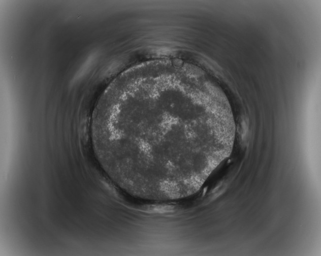 X0000084040462200703092035