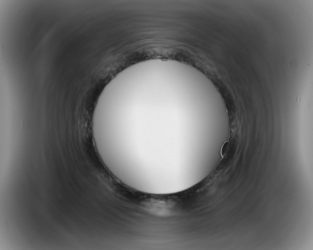 X0000084040464200703092035