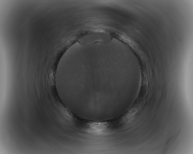 X0000084040465200703092035