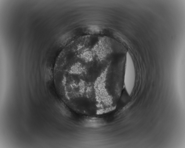 X0000084040467200703092035