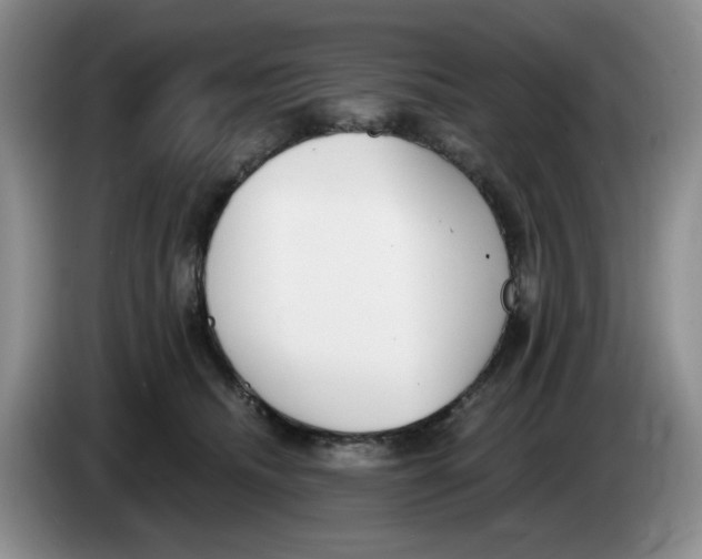 X0000084040468200703092035