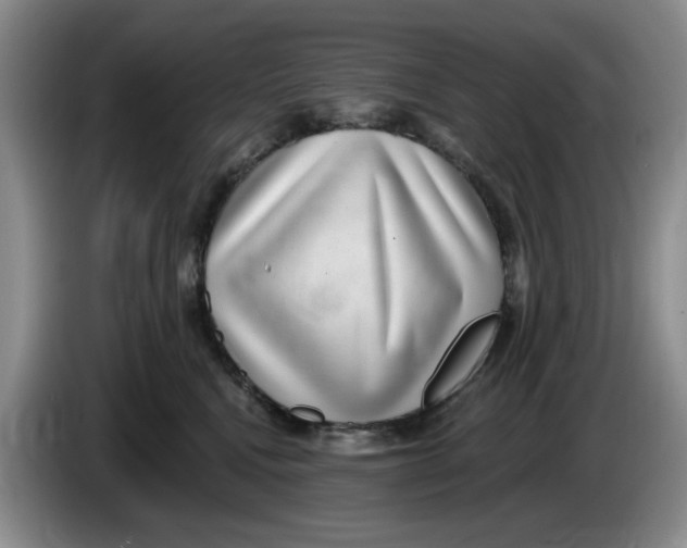 X0000084040472200703092035