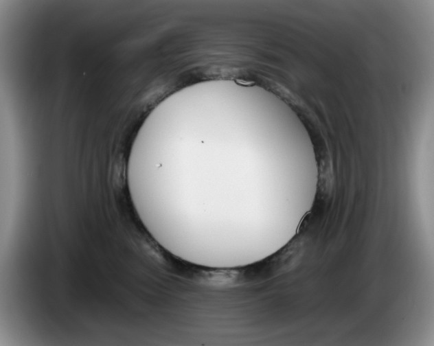 X0000084040474200703092035