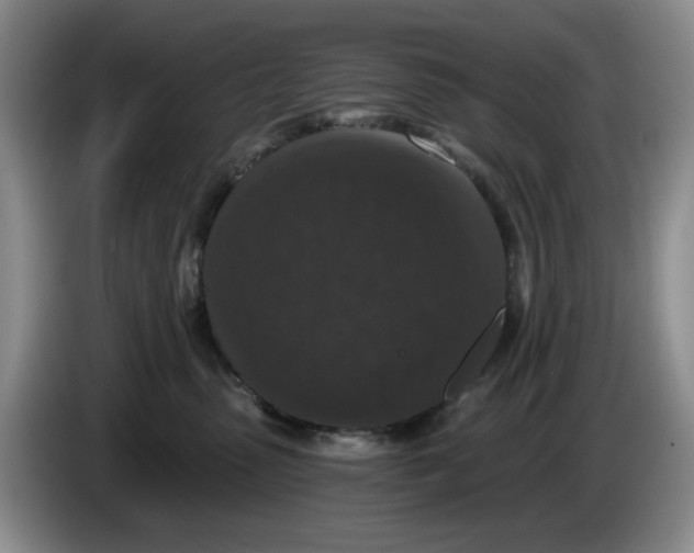 X0000084040475200703092035