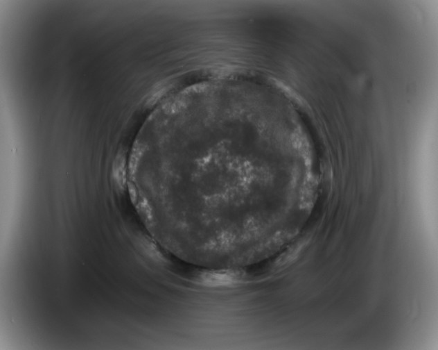 X0000084040479200703092035