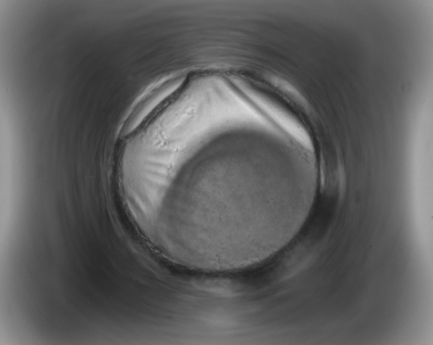 X0000084040483200703092034