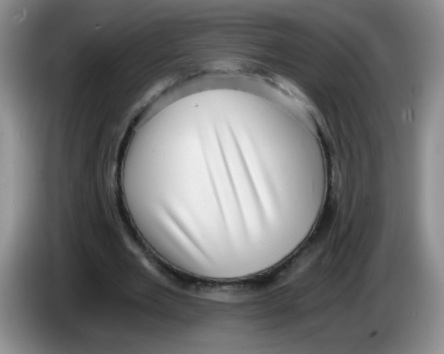 X0000084040485200703092034