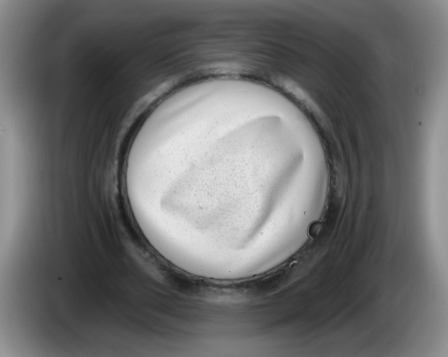 X0000084040486200703092034